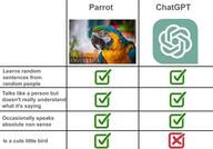birb bird chat chatgpt cute gpt learning parrot tack // 398x278 // 99KB